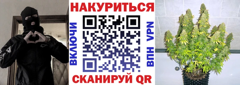 где найти   Рузаевка  Каннабис планчик 